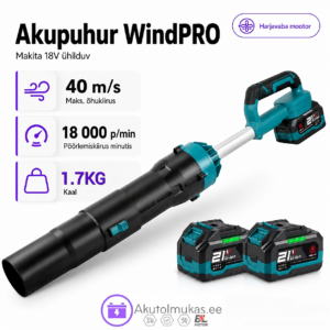 Akupuhur WindPRO